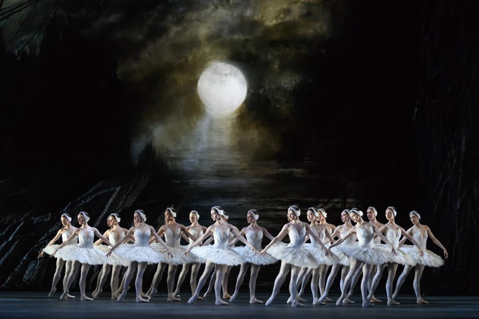 swanlakeimage.jpeg