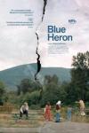 blueheron.jpeg