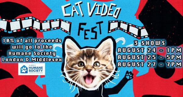 catvideo_slide_1.jpg