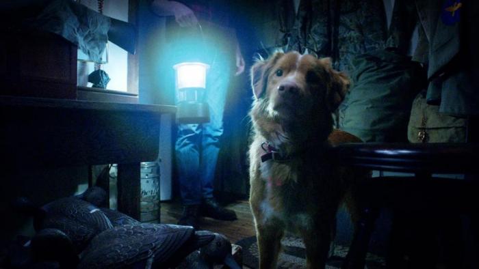 good-boy-1-h-2025.jpg