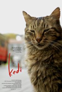 kedi.jpg