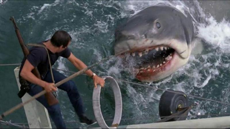 https___cdn.cnn_.com_cnnnext_dam_assets_190627154653-007-highest-grossing-films-jaws.jpg